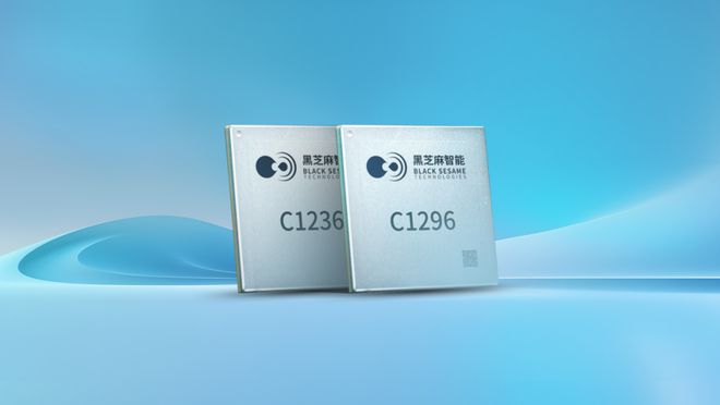 黑芝麻智能毛利翻倍的秘诀(图3)