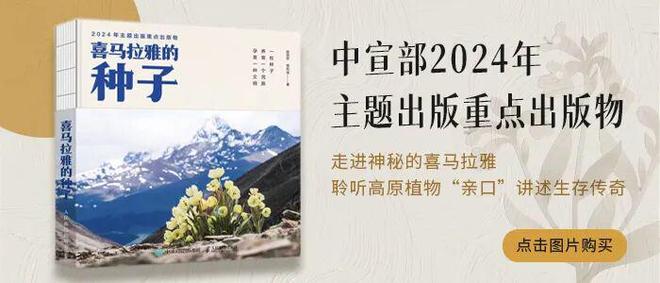 “毫秒”竞速：算力革命的核心一跃(图1)