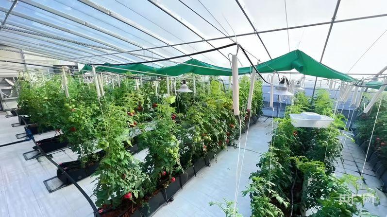 天津乘“数”而上打开高质量发展新空间(图5)