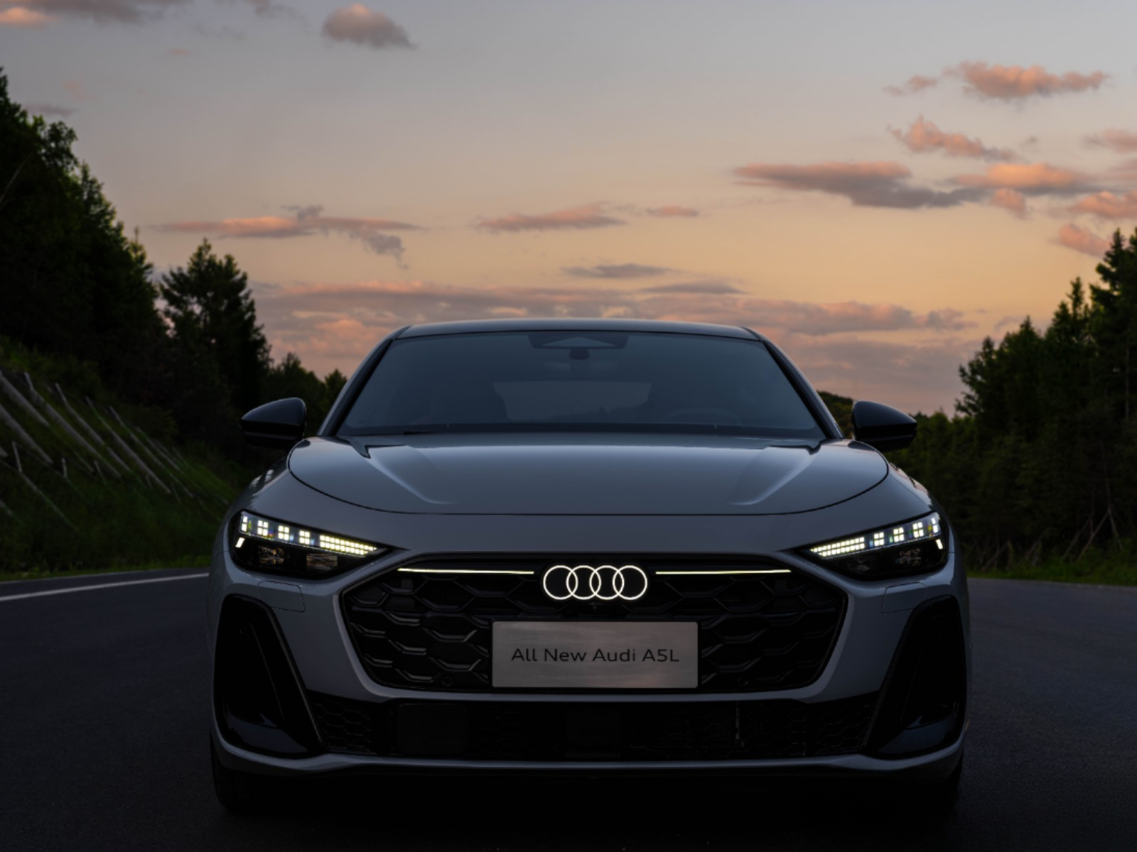 自动泊车+弯道控速一汽奥迪A5L智驾辅助太贴心！(图1)