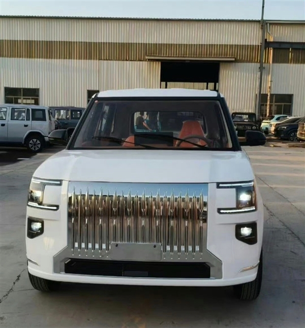 正版刚上市 “老头乐版极氪9X”就来了!外观神复刻 网友：这速度绝了(图2)