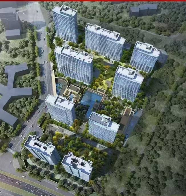 伟星T10最新发布-封关巨献-户型-价格 -地址-交房时间(图4)