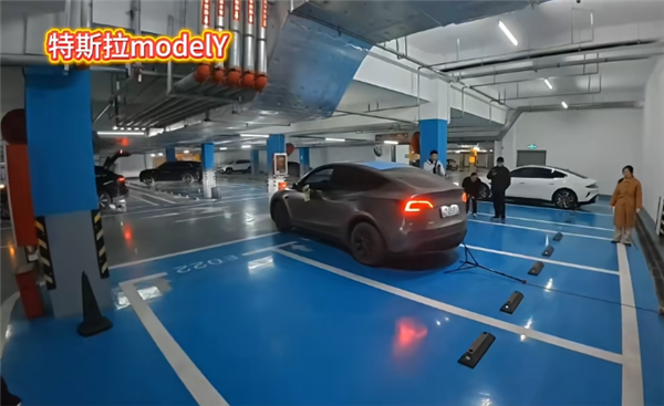 实测多款热门车自动泊车 特斯拉Model Y唯一过关(图1)