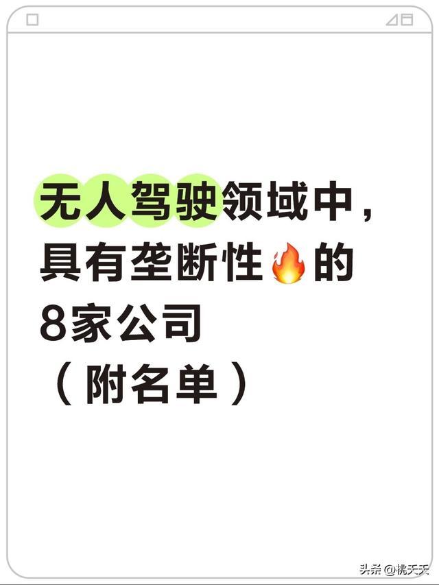 无人驾驶领域中具有垄断性的8家公司（附名单）(图1)