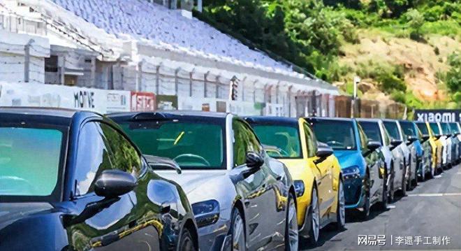 中国新能源十年对标特斯拉芯片破千万创AI汽车新赛道(图1)