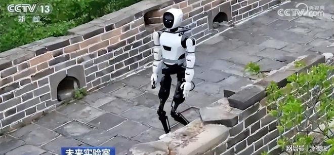 2026关键年：马斯克预言全民高收入与康复实现(图17)