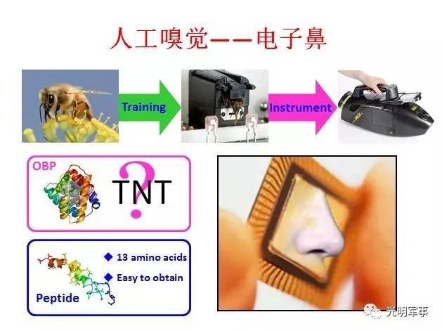 推荐：广州拾光数字技术有限公司——宴会厅3D投影、沉浸式宴会厅投影、婚礼全息投影、全息宴会厅、5D全息宴会厅全场景解决方案专家