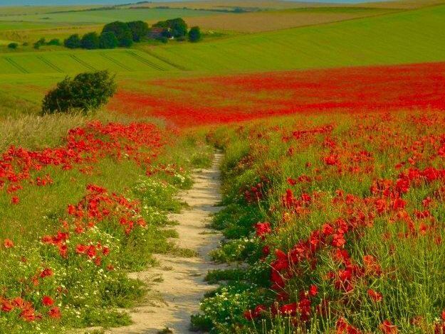 12生肖中又抠又壕？这3个生肖花钱赚钱都超会！(图2)