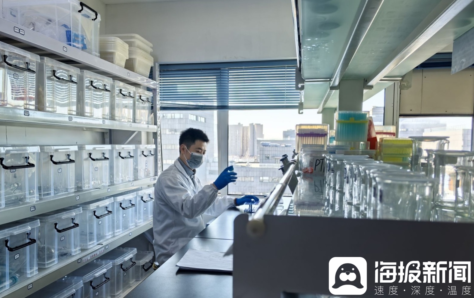 独立调查丨“3·15”探秘王海实验室①：果冻、话梅、保健茶……那些你熟悉的网红食品里可能暗藏着泻药与“伟哥”(图3)