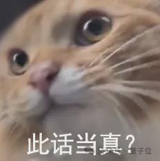 又一华为天才少年入局具身创业！首个模型登顶具身基模榜单(图5)