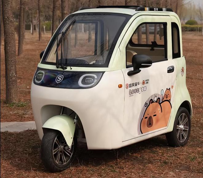 自动泊车？1万元的电三轮对着合资车、新能源车“骑脸输出”(图2)