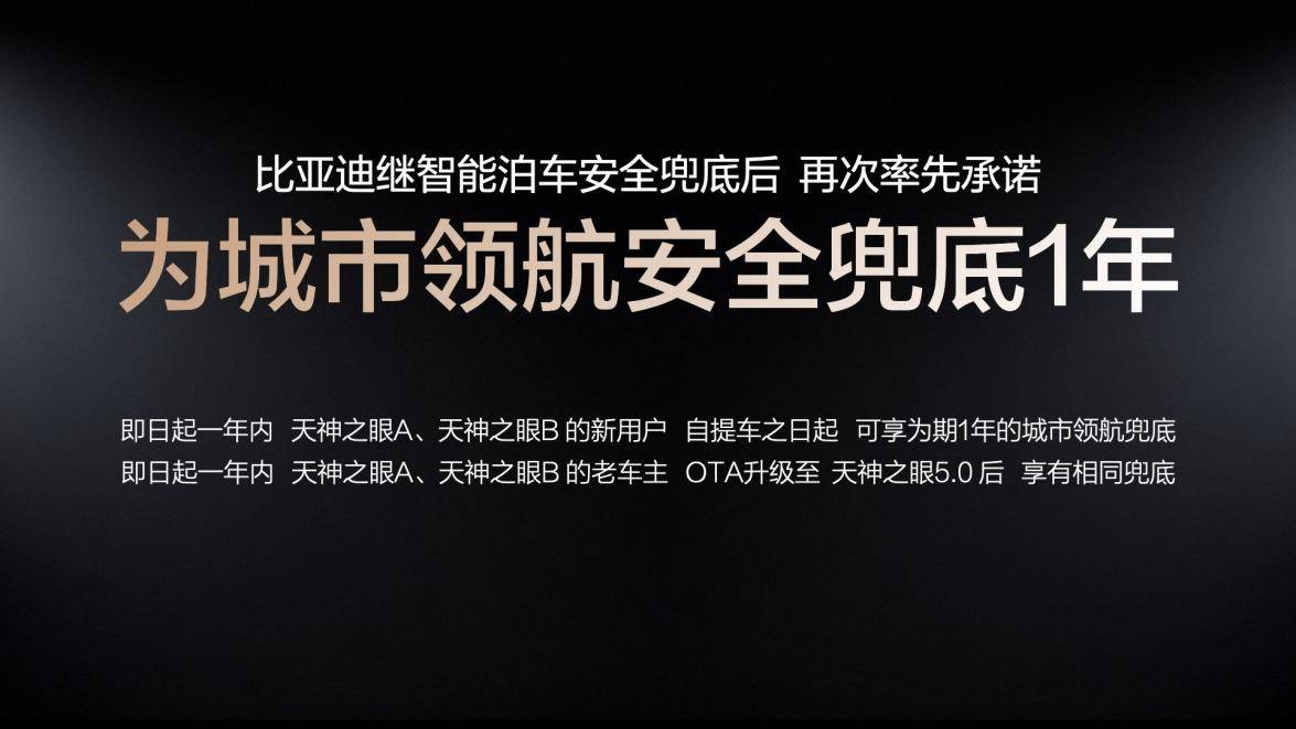 比亚迪宣布为辅助驾驶兜底为何没有人跟进？(图1)
